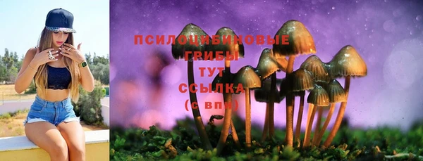 PSILOCYBIN Богданович