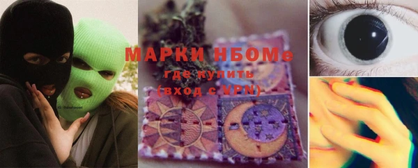 PSILOCYBIN Богданович