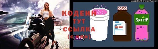 PSILOCYBIN Богданович