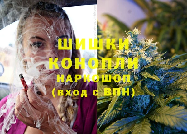 твердый Богородицк