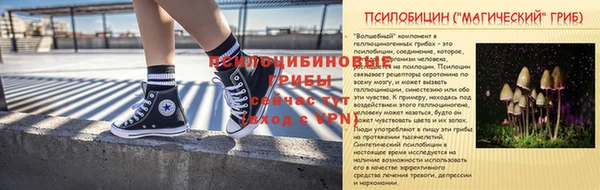 2c-b Богородск