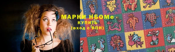 твердый Богородицк