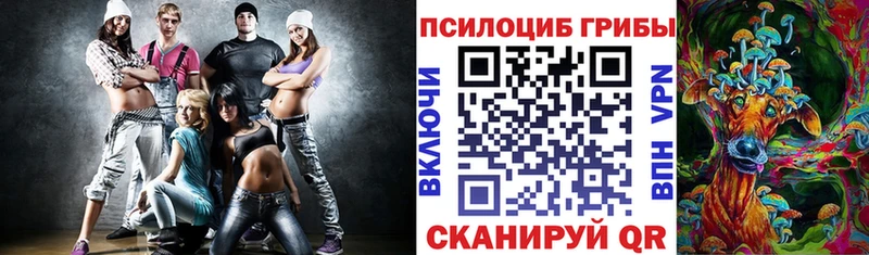 Псилоцибиновые грибы Psilocybe  сколько стоит  Козловка 